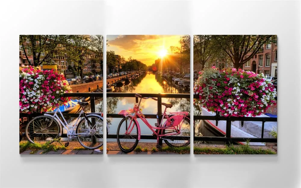 Bisiklet ve Çiçekli Manzara Amsterdam Resimli Kanvas Tablo 3 Parçalı