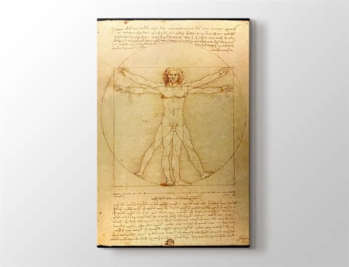 Da Vinci Vitruve Luc Viatour Vitruvius Adamı Kanvas Tablo