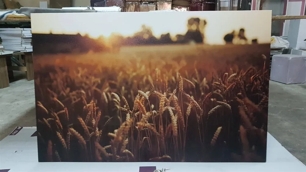 Gün batımı Bu??day Tarlas?? Resimli Kanvas Tablo