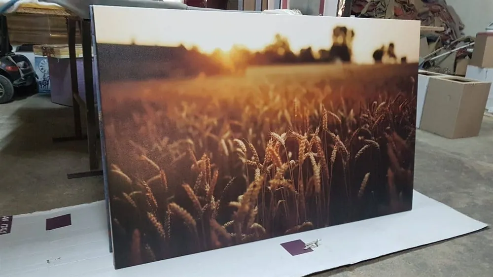 Gün batımı Bu??day Tarlas?? Resimli Kanvas Tablo