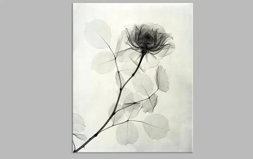 Soluk Ye??il Renginde Flu Çiçek Tablosu