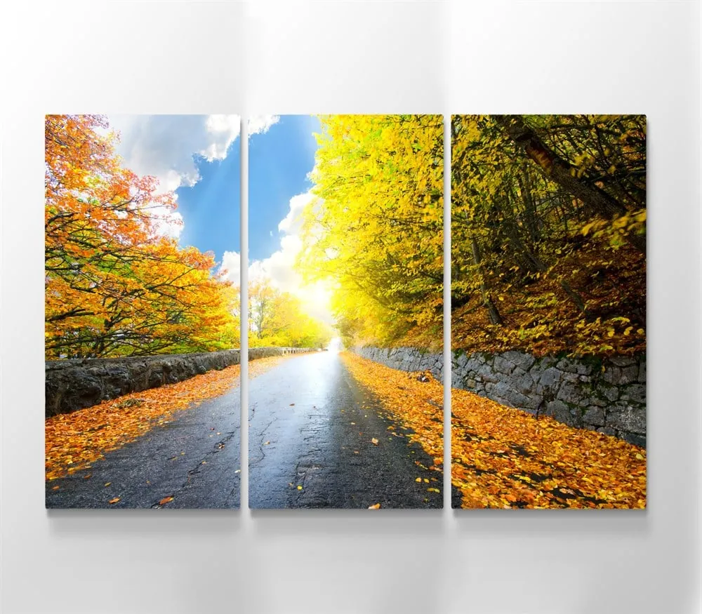 Sonbahar Yaprakları ve Yol Manzaralı 3 Parçalı Kanvas Tablo