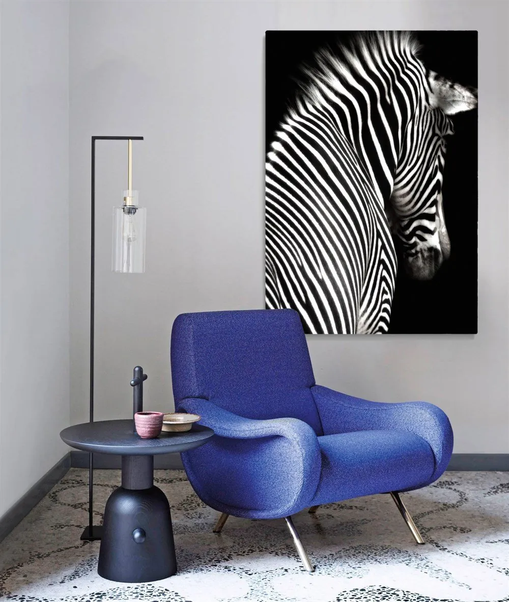 Zebra Kanvas Tablosu