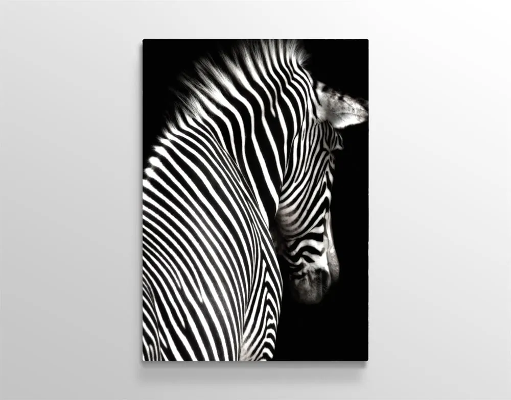 Zebra Kanvas Tablosu